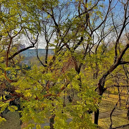 Apartament Kukorelli *